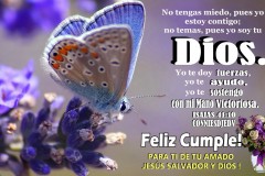 CONNIESDJEDV-FELICIDADES-1083-5