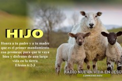 CONNIESDJEDV-RADIO-NUEVA-VIDA-EN-JESUS-2016-2022